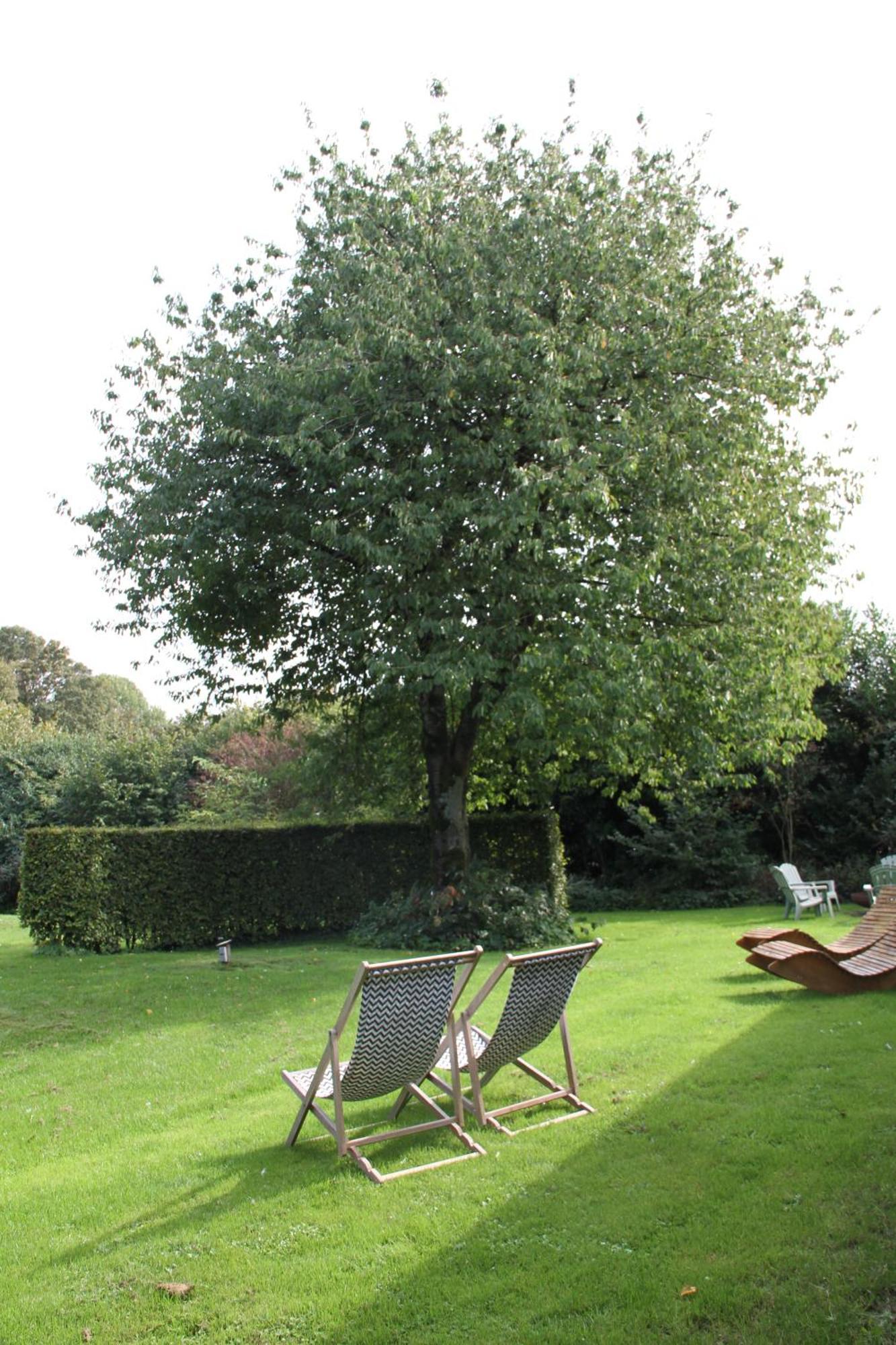 Familiehuis De Betuwe Met Prive Kunstgras Tennisbaan En Sauna Villa Erichem Exteriör bild